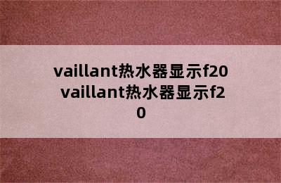 vaillant热水器显示f20 vaillant热水器显示f20